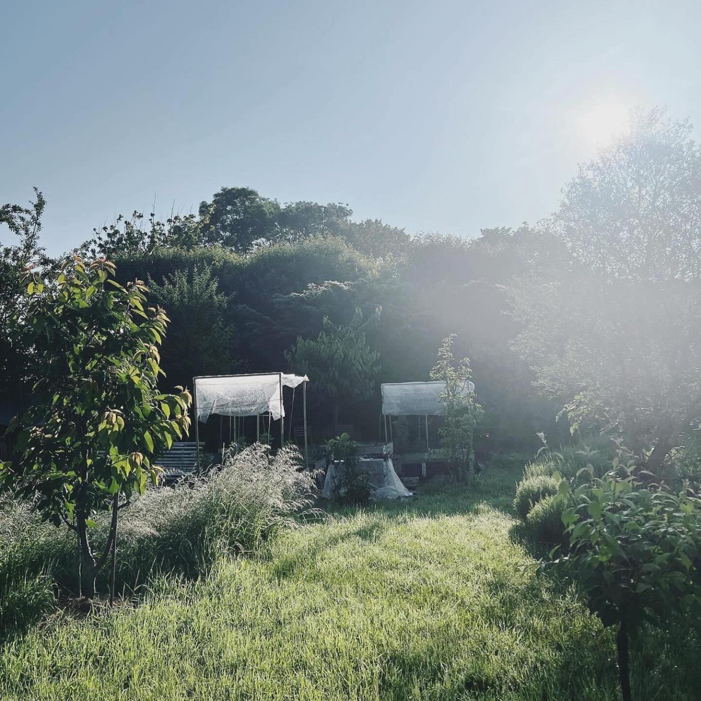 Maisonnette - La Clochette Lugon et l’Ile du Carney エクステリア 写真